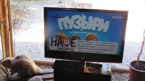 Lilaste - Image 2