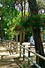 Camping Cieloverde - Image 2