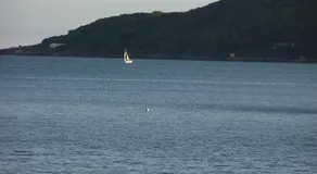Ocean View - Image 5