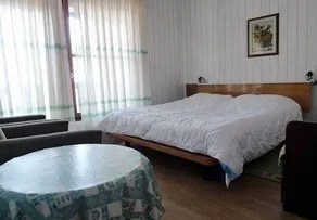 Apartma Ferjan - Image 3
