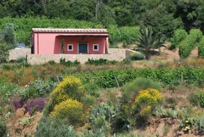 Agriturismo Valle di Lazzaro Portoferraio - Image 2