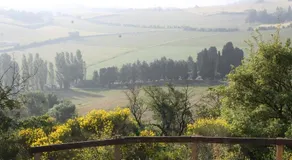 La Bleuette - Image 4