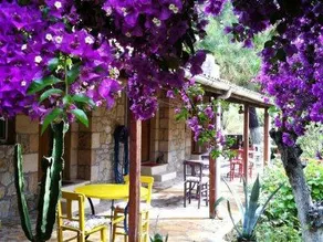 Dede Garden Hotel - Image 1
