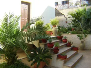 B&B Domus Tiberio - Image 2