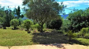 L'Alivetu - Image 5
