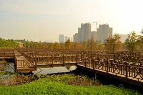 Xiamen Seaside Hotel - Image 2