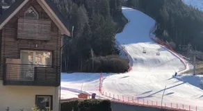 White Bear - Image 3