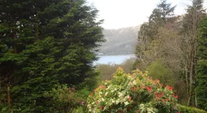 The Glen - Image 5