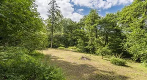 Horsehill Cottage - Image 4