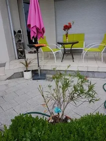 Holiday Home Sarafovo Dream - Image 5