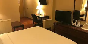 Holiday Inn Express Metropolis - Image 5