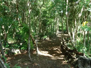 Casa Sol - Image 5