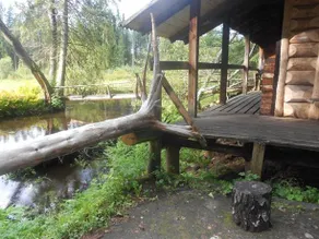 Ukuaru Nature Cabin - Image 3