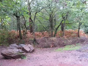 Ar Litorienn - Image 5