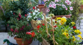 Apartman Dragica - Image 5