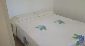 Limón y Sal - Image 2