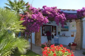 Camping Village Orrì - Image 2