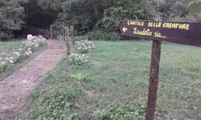 Carrera Della Regina - Image 2
