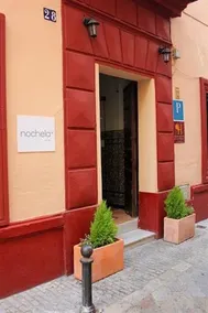 Nochela Sevilla - Image 4