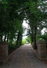 Laurel House - Image 5