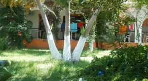 Studios Dimitris - Image 2
