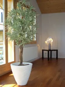 Hasliberg Reuti, Engi, Haus C - Image 3