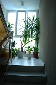 Galia Guest House - Image 2