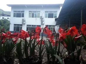 Qingxin Family Homestay - Image 4
