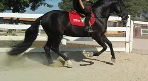 Rocaplana Club De Campo - Image 2