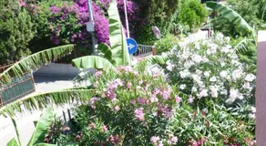 Casa Vacanza Appartamenti Al Mare - Image 5