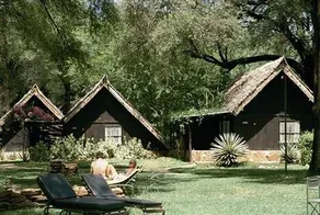 Samburu Serena Safari Lodge - Image 5