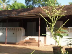 Chedi Spring Valley Resort - Image 2