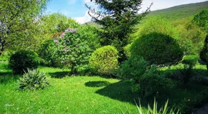 Nature Escape - Image 3