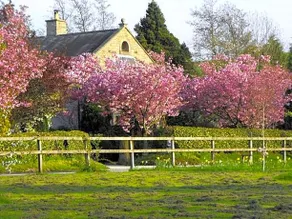 Whitmore - Image 4