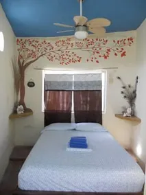Kame House - Image 5