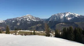 The Pirklalm - Image 3