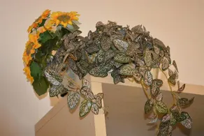 Lily Room - Image 3