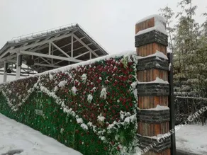 Hanabusa Hotel - Image 4