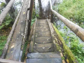 Ukuaru Nature Cabin - Image 4