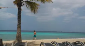 Royal Palm Resort Curacao - Image 5