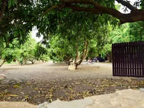 Aaranya Resort - Image 5