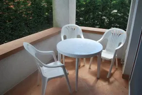 Sekli Premium - Image 5