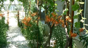 Lake House - Image 2