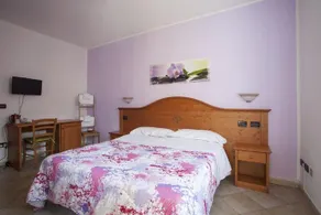B&B Solan - Image 5