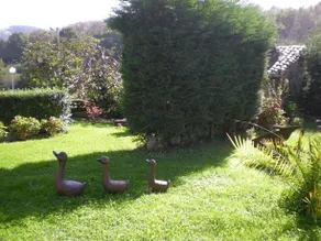 Las Helgueras - Image 4