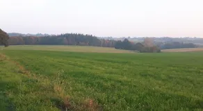 Le Petit Secret - Image 5