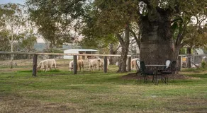 Mountview Homestead near Toowoomba - Image 4
