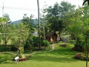 The Log Of Paradis - Image 5