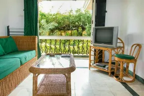 Asian Dona Rosa 1 - Image 5