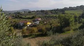 Cottage in the olive farm - Image 5